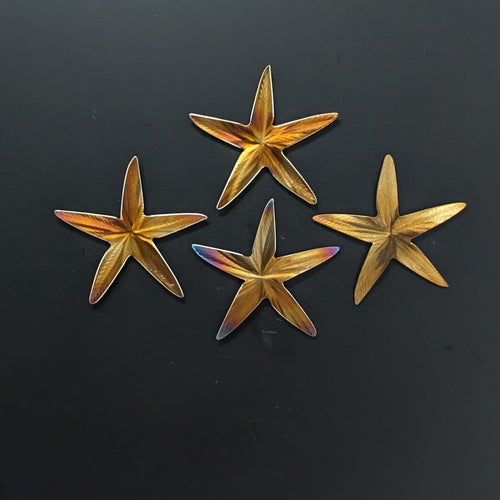 Starfish refrigerator magnets
