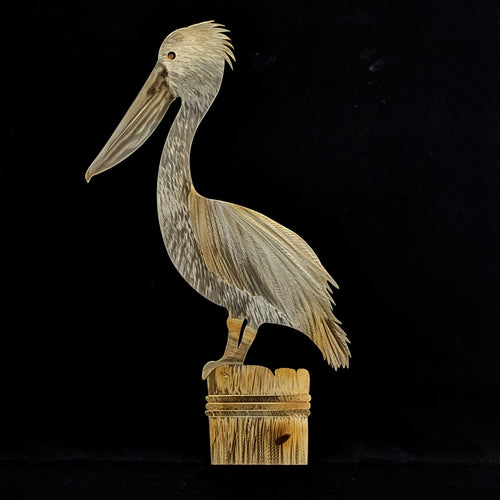 pelican on piling