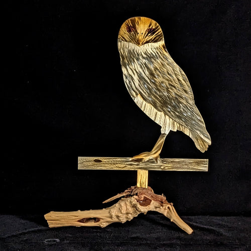 Ground Owl - 18