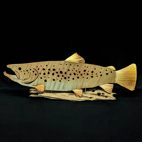 Brown Trout - 18