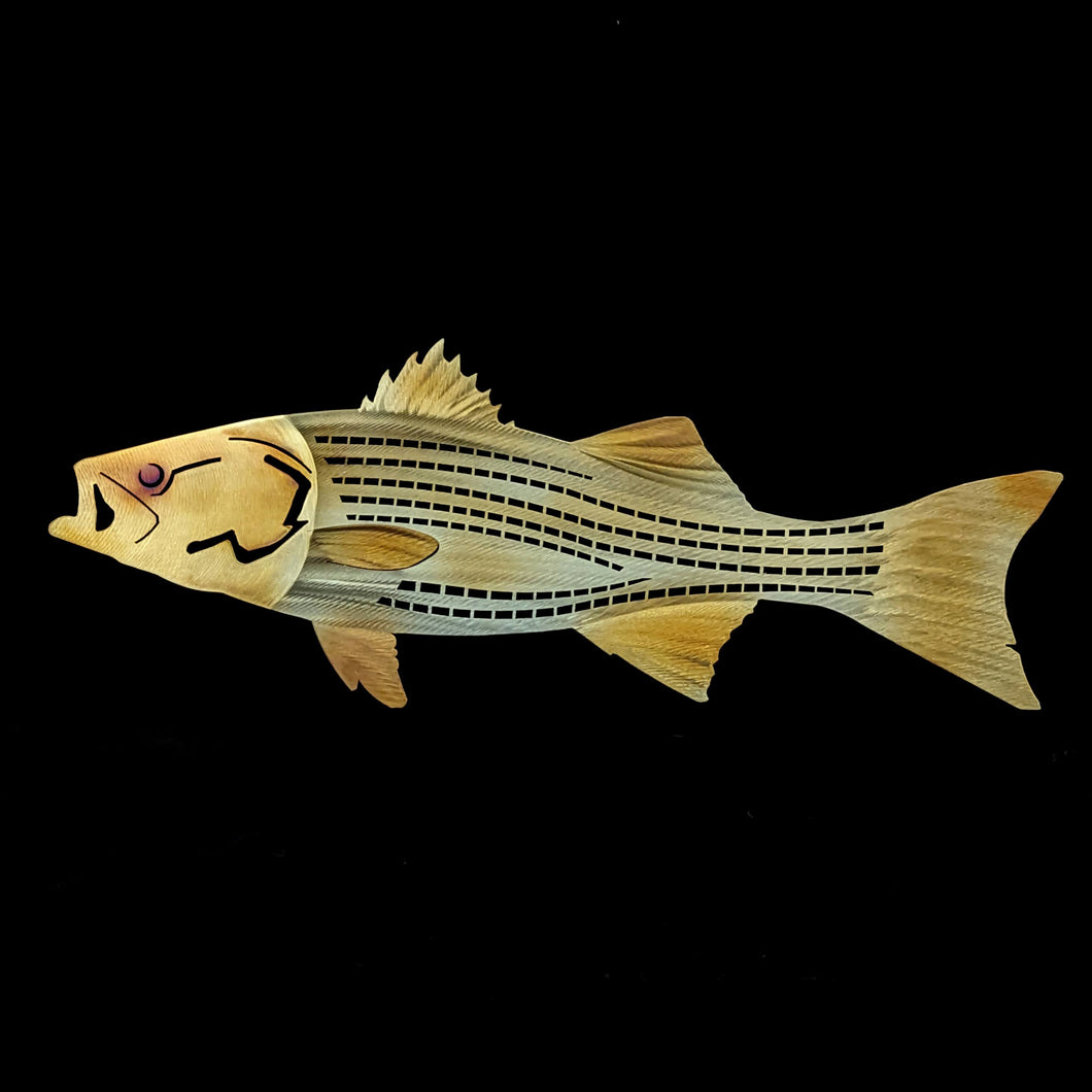 Striped Bass - 24